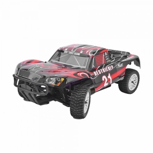 Xe điều khiển Rally RTR điện 1/10